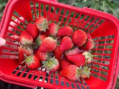 -赤马湖体育滑雪