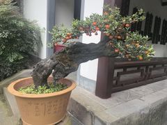 -成都杜甫草堂博物馆