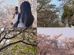 -西北湖绿化广场