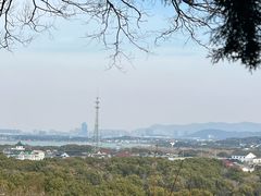 -香雪海
