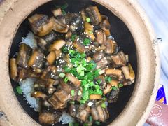 黄鳝饭-红星光发煲仔饭(大石街店)