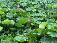 -3W咖啡(国家软件园店)