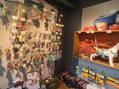 -爪吧宠物乐园 (温榆河示范区店)