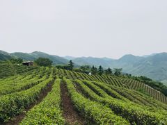 -达蓬山旅游度假区