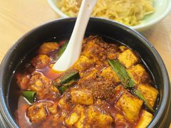 -陈麻婆豆腐总店