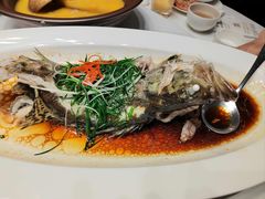 -院里寻菜·精致庭院菜(观沙岭店)