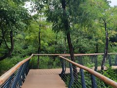 -白水寺森林公园