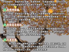 -北山街历史文化街区