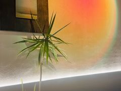 -希屿·Xislands融合餐厅