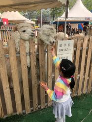 -萌宠亲子动物乐园(槐房万达店)