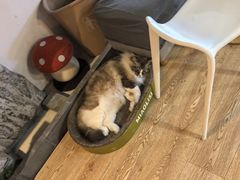 -白兔子密室(长寿路店)