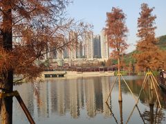 -重庆彩云湖湿地公园