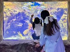 -南昌融创海世界