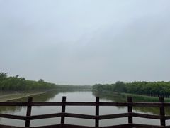 -西青郊野公园