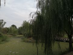 -鹅湖玫瑰文化园