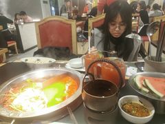 -廖掌柜·重庆鲜货火锅(上海首店)