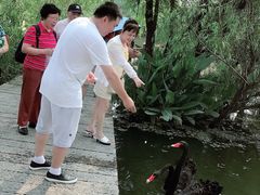 -长兴太湖图影湿地文化园