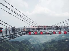 -梦幻奥陶纪景区