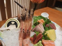 -月龍吟(朝龙汇店)