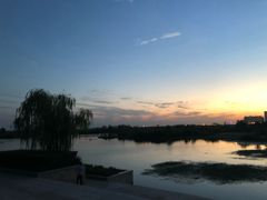 -合肥滨湖国家森林公园