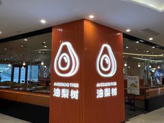 -油梨树 AVOCADO TREE(亮马桥店)