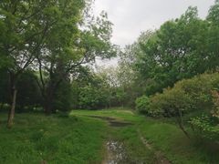 -北坞公园
