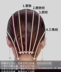 -诗碧曼养发