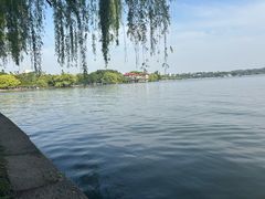 -西湖游船