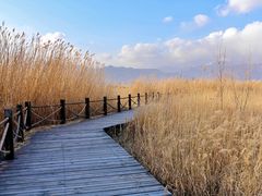 -野鸭湖国家湿地公园