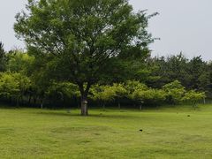 -桃花岛公园