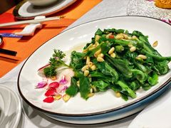 松子炒山苏叶-若蘭慈·无国界素食料理(欢乐海岸店)