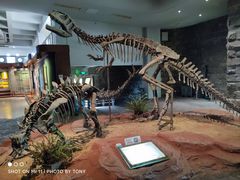 -自贡恐龙博物馆