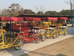 -上海长兴岛郊野公园