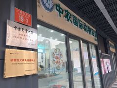 -中农国际动物医院24小时·猫科·骨科·急重症中心