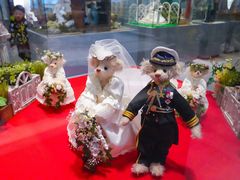 -济州岛泰迪熊博物馆