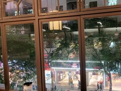 -野妹火锅(龙岗店)