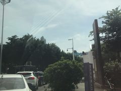 -天河体育中心游泳馆