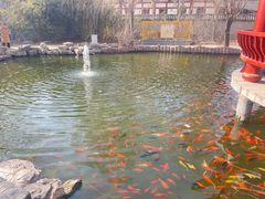 -大悲禅寺