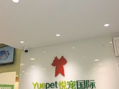 -悦宠动物医院(京丰分院)