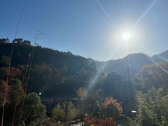 -黄陂区野村谷景区