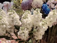 -谷莠子花艺·气球派对·绿植造景·花艺沙龙(金光华广场店)