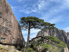 -黄山风景区