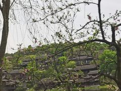 -重庆园博园
