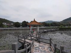 -红山村