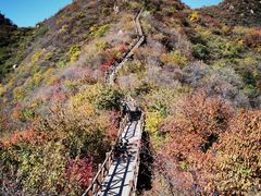 -大岭沟猕猴桃谷风景区