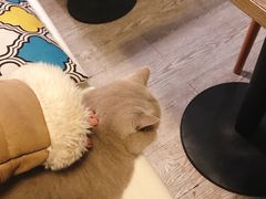 -小时光咖啡馆(北锣鼓巷店)