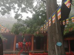 -少华山国家森林公园