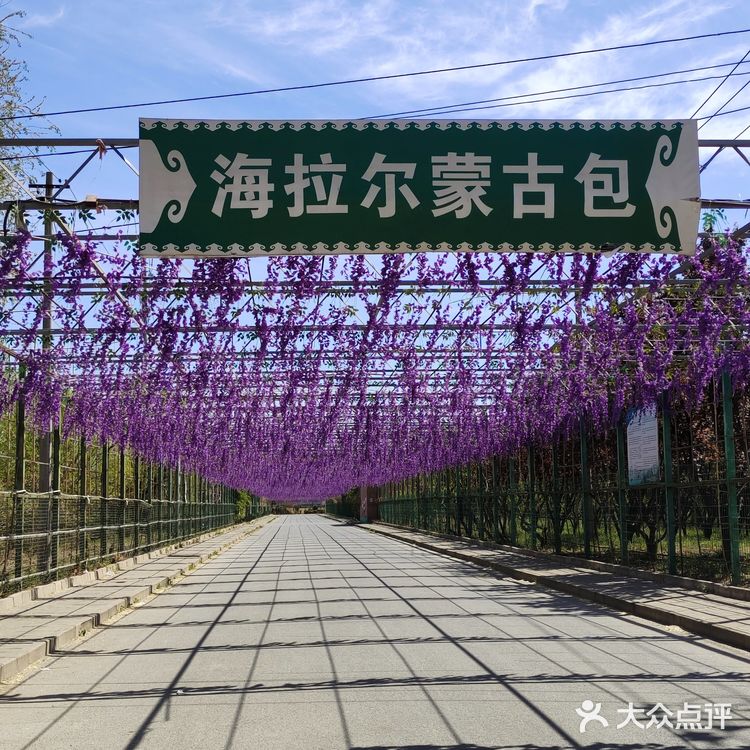 在海拉尔蒙古包品尝地道蒙古美食的独特体验