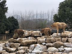 -杭州野生动物世界