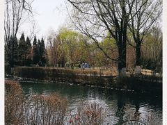 -长白岛森林公园